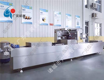全自動(dòng)連續(xù)真空包裝機(jī)（DLZ-320型）