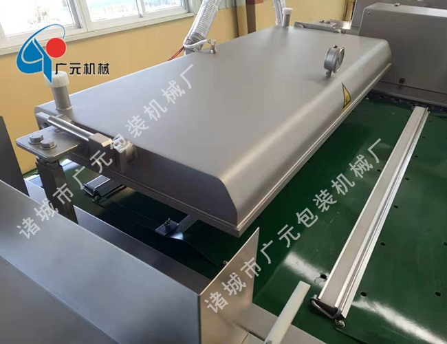 滾動式連續(xù)真空包裝機（DZD-1100型）