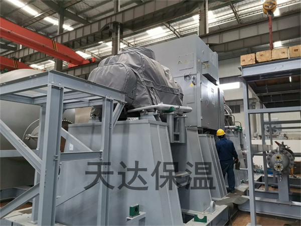 �ݗU�Չ��C����